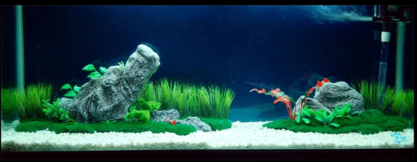 水族养殖石英砂